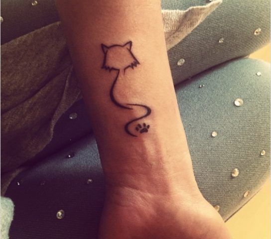 Silhouette felina
