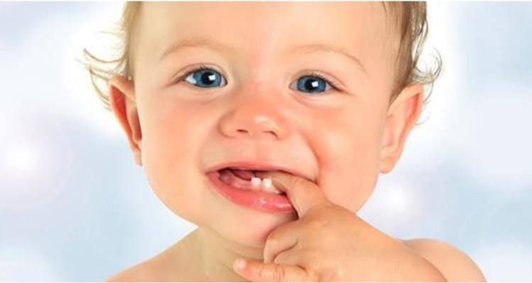 Il calendario dei dentini del bambino. Quando escono e in che ordine?