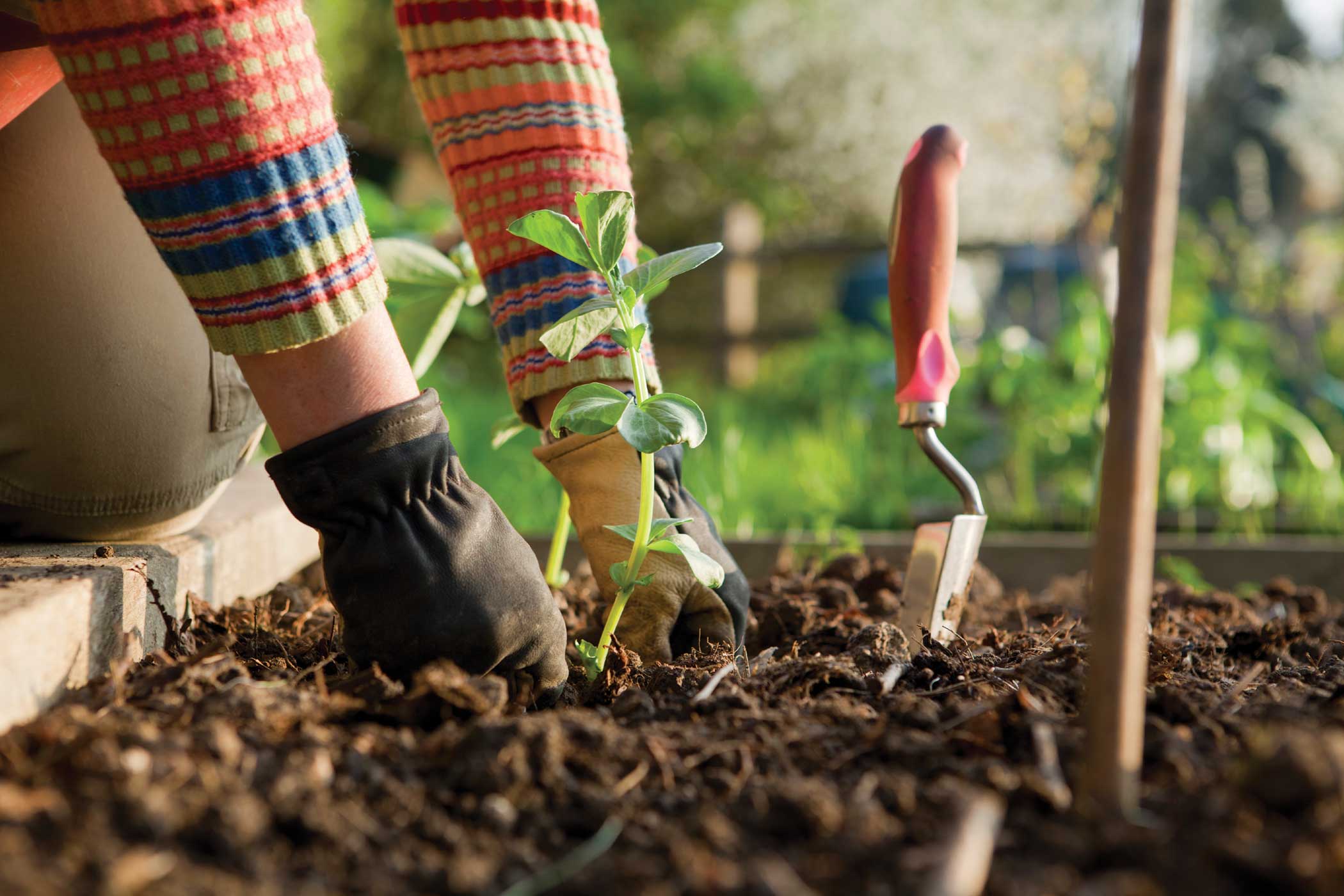 Ottobre: cosa fare in giardino