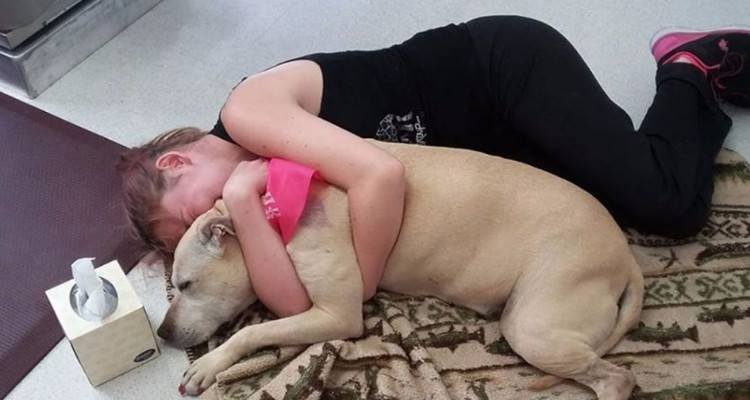 Raccoglie le foto dell’ultimo giorno di vita della sua amata cagnolina
