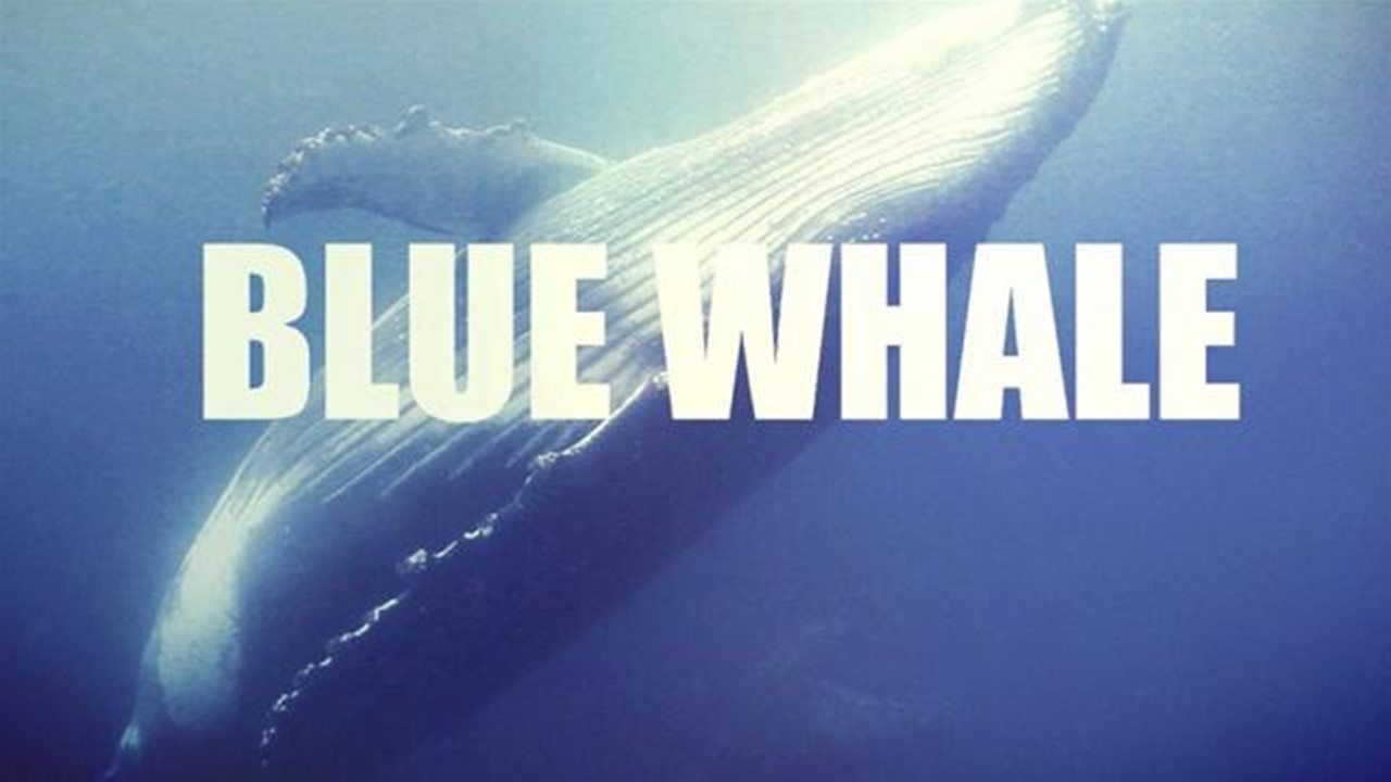 #Fermiamolabalena: associazioni contro il Blue Whale per aiutare i ragazzi