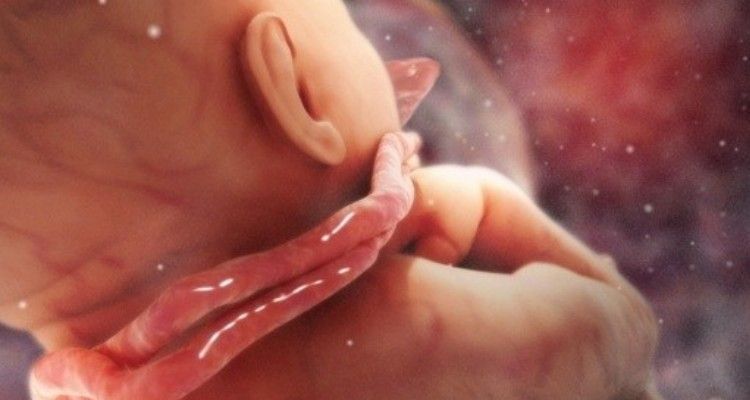 I giri di cordone ombelicale intorno al corpo del neonato. Rischio?