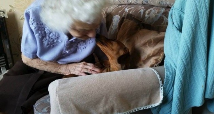 Povera nonna mia, mi è dispiaciuto molto doverglielo dire, ma non poteva