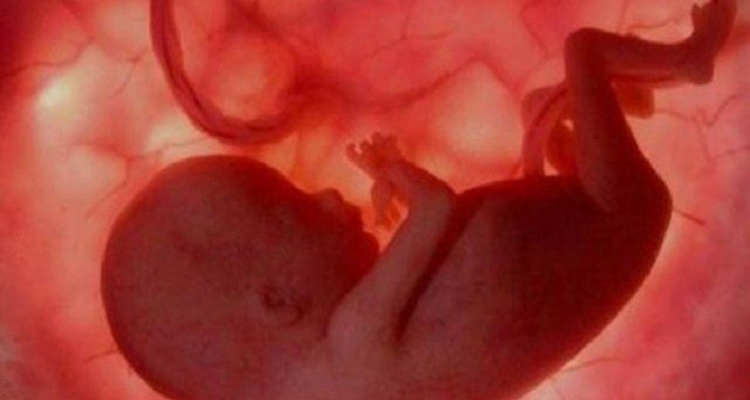 Il feto defeca nella pancia?