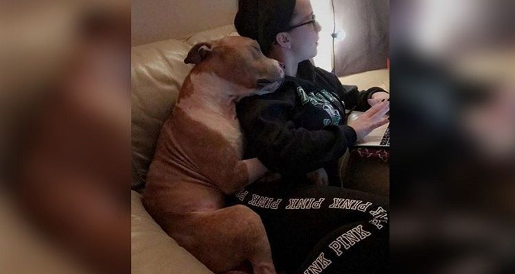 L’amore in una foto