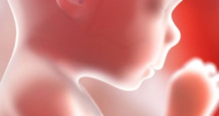 Il feto si muove tanto nella pancia. Che bambino sarà dopo il parto?