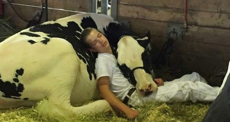 Posta la foto del figlio che dorme nella stalla