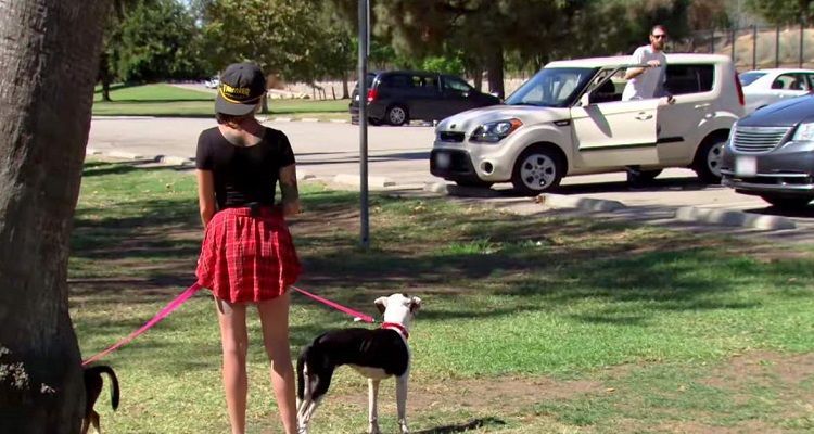 Un veterano di rivede i suoi cani e il momento è emozionante