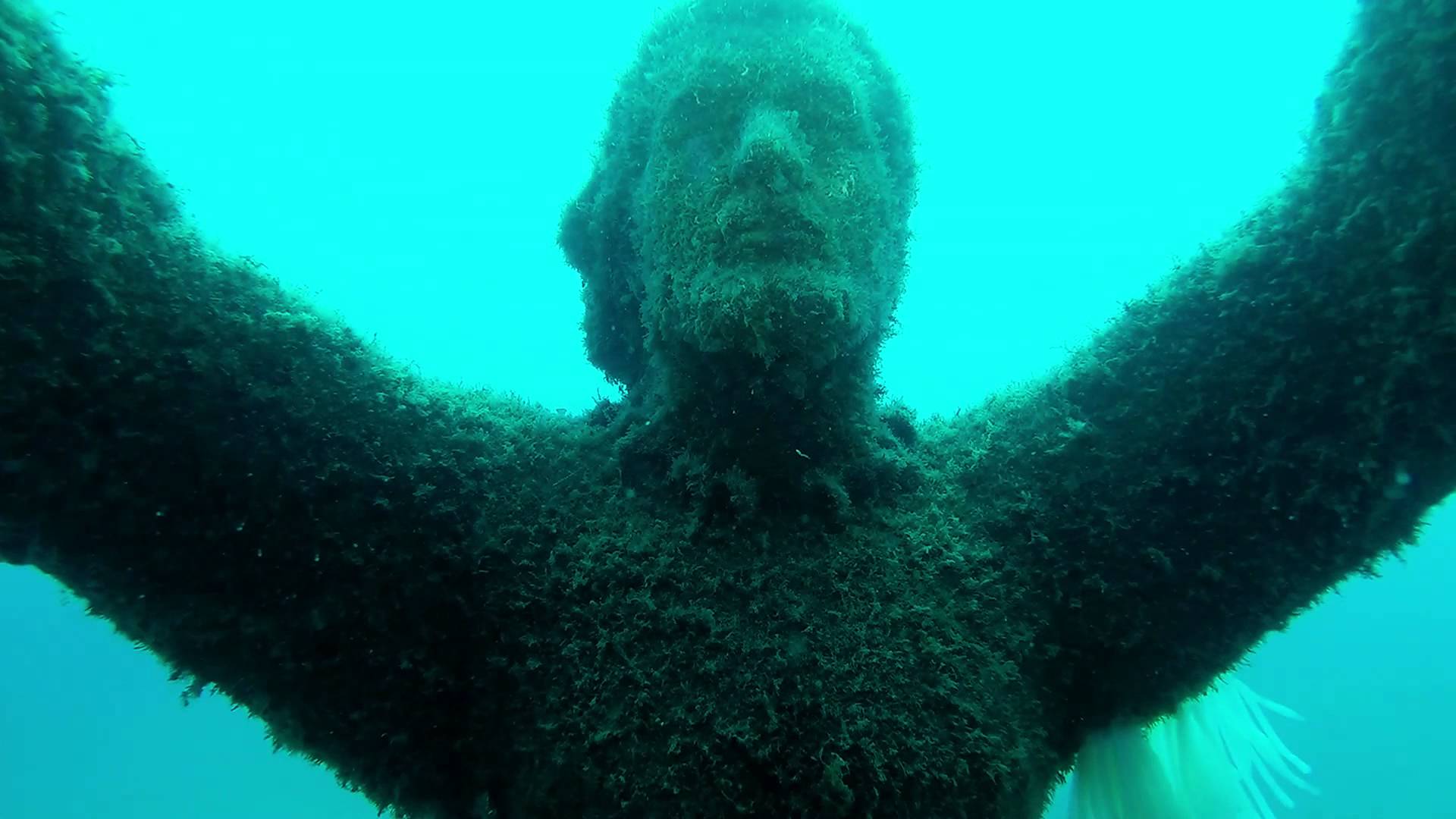 Le statue immerse in acqua da vedere in immersione