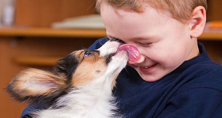 Le leccate dei cani: cosa significano davvero?
