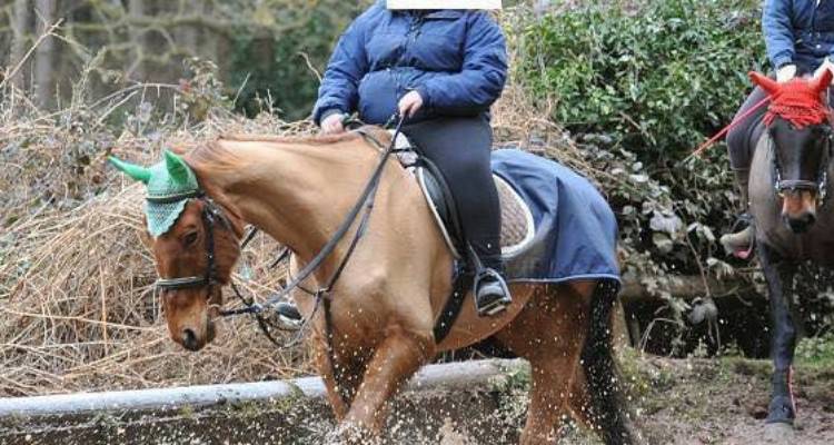 Si scatta una foto con il suo cavallo ma poi qualcuno nota l’inquietante dettaglio