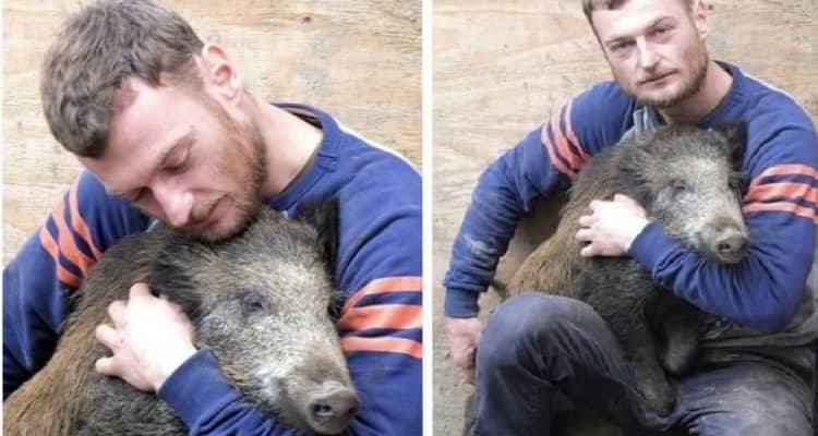 Pisa – Cacciatore incontra un cinghiale che gli cambia la vita