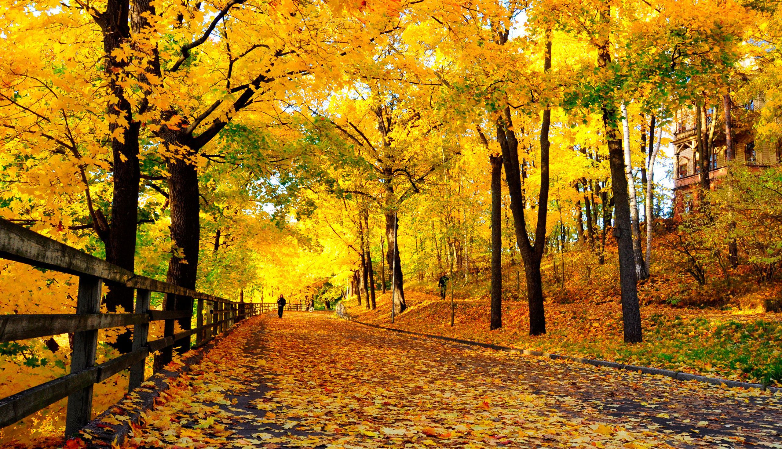 Oggi non è il primo giorno di autunno: è il 22 settembre!