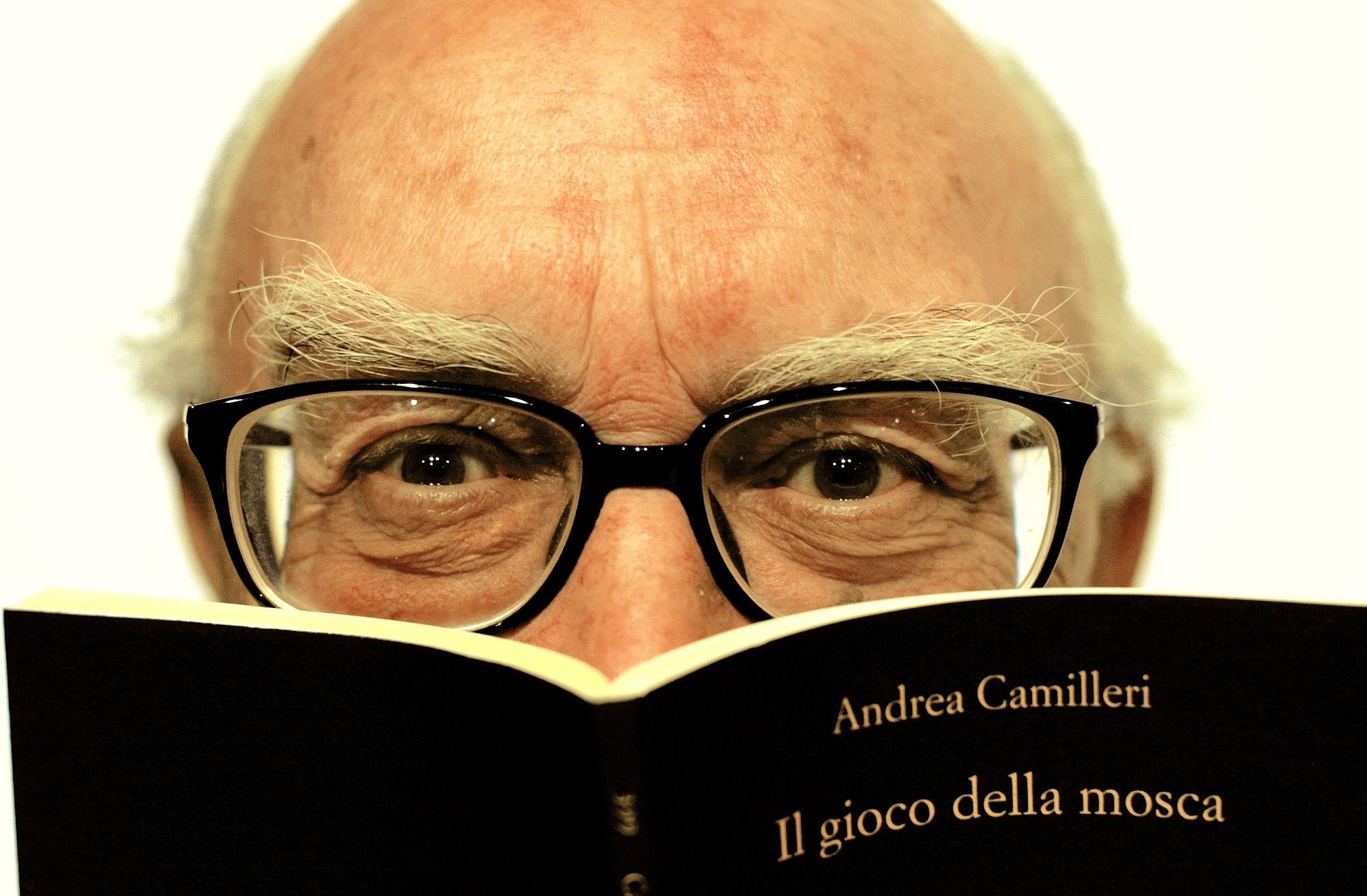 Le frasi più belle di Andrea Camilleri