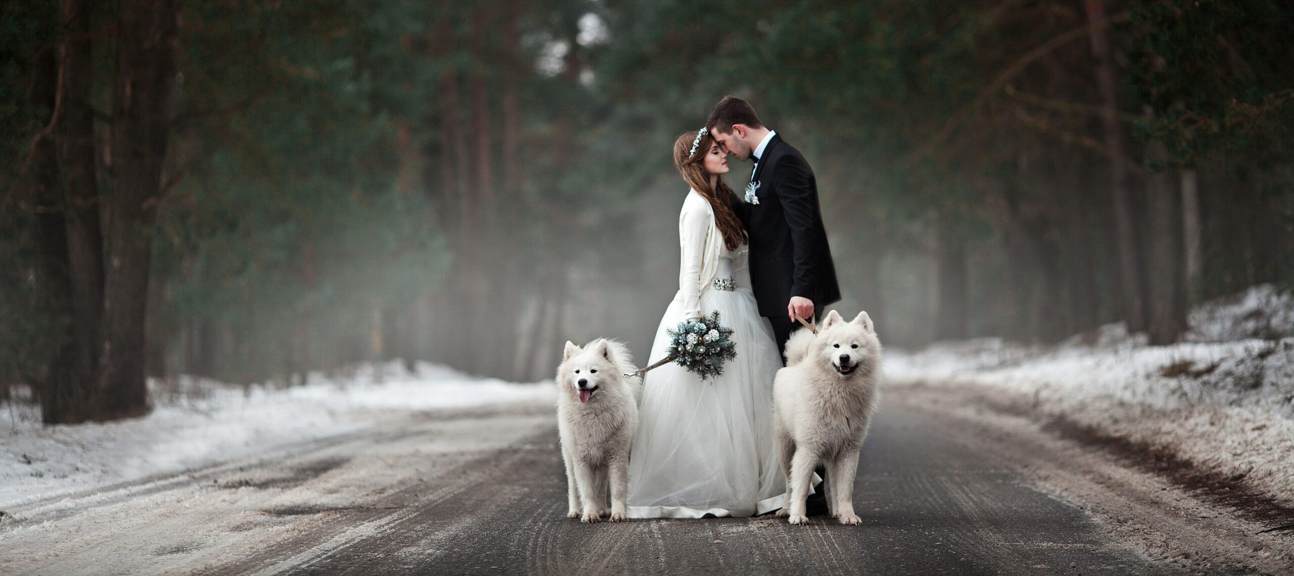 Sposarsi invitando il cane al matrimonio: la nuova tendenza