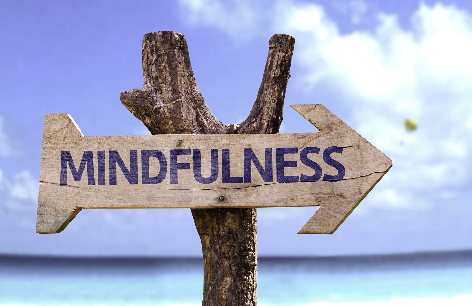 5 regole per dimagrire con la mindfulness