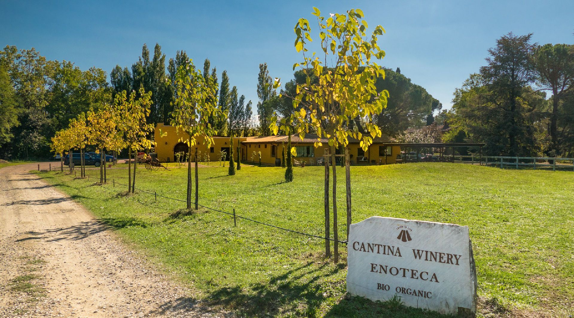 Frequentare un Wine Resort fa bene per tanti motivi