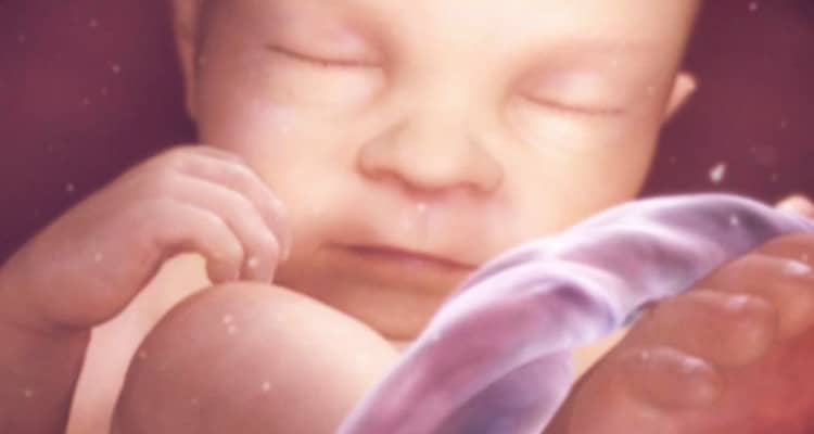Gravidanza: perché il tuo bambino si muove di più durante la notte