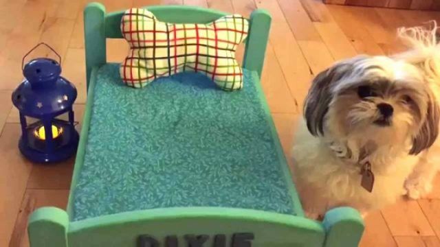 Ikea Lancia Una Collezione Di Arredi E Accessori Per Animali Bigodino