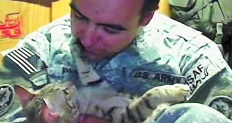 Soldato salva un gatto, che ricambia in un modo speciale