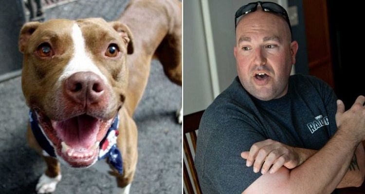 Salvano un cane poi una tragedia colpisce la famiglia