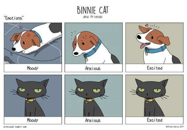 Le Differenze Piu Divertenti Tra Cani E Gatti Rappresentate Con 29 Bellissime Illustrazioni Di Diversi Artisti Bigodino