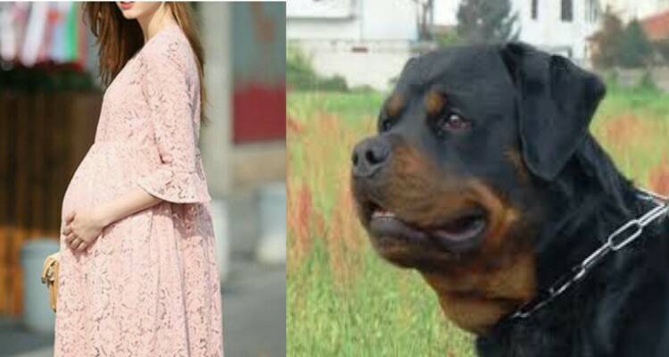 Donna in pericolo, sbuca un cane di ben 60 kg da dietro l’auto e