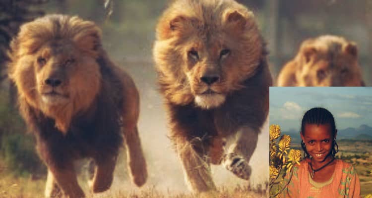 Rapita, picchiata e tenuta prigioniera, bambina di 12 anni salvata da tre leoni