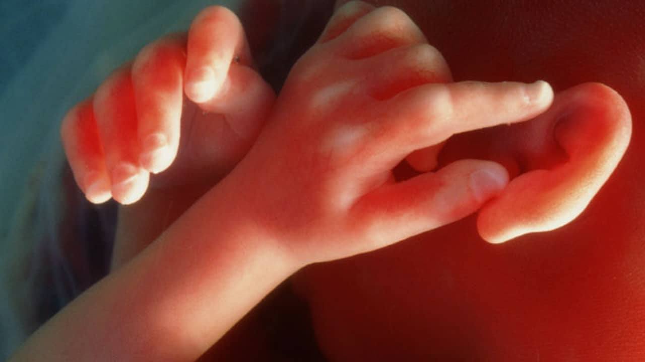 Tutte le cose che il tuo bambino ama fare nella tua pancia