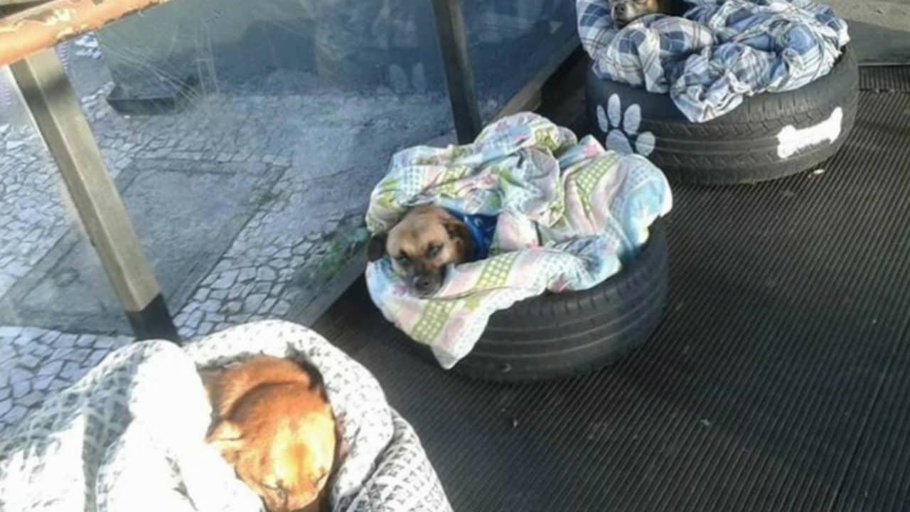 Stavano morendo di freddo, finché i dipendenti della stazione non sono intervenuti