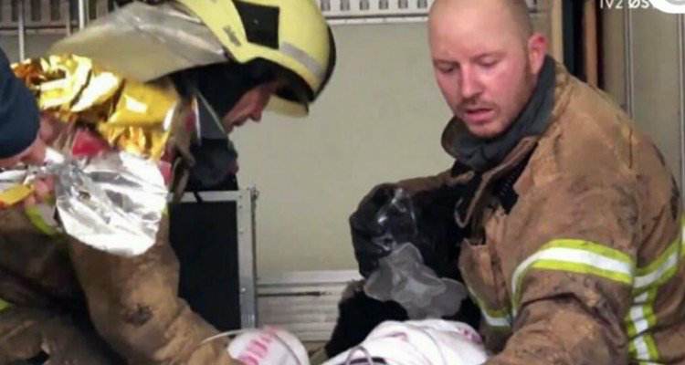 Il meraviglioso salvataggio dei Vigili del Fuoco