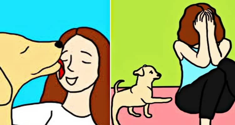 “Che schifo, quel cane mi ha leccato!” 8 motivi per cui dovresti rimanere in silenzio