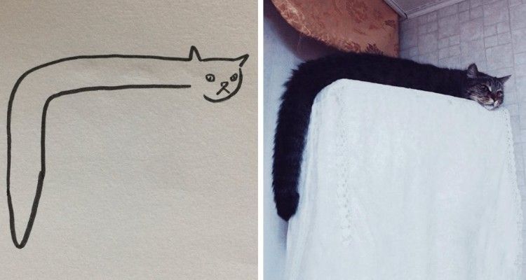 10+ foto di Gatti di alcuni artisti diventano realtà
