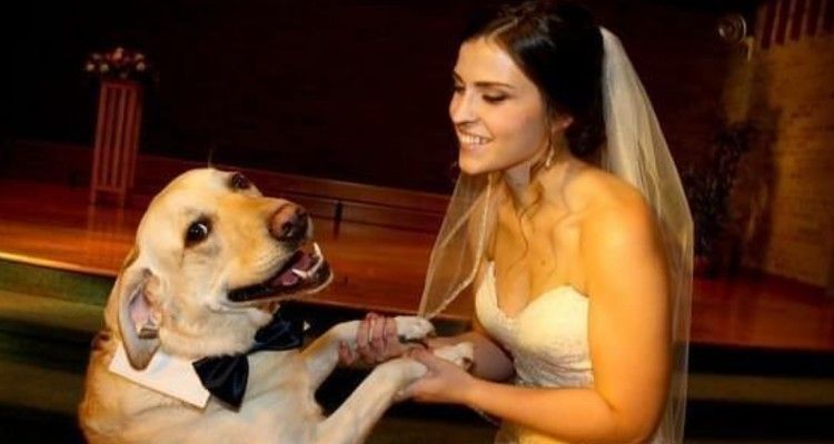 19 ragioni per essere grato al tuo cane