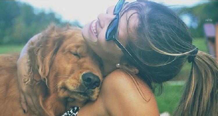 Alcune immagini di cani che dimostreranno che loro sono i nostri migliori amici