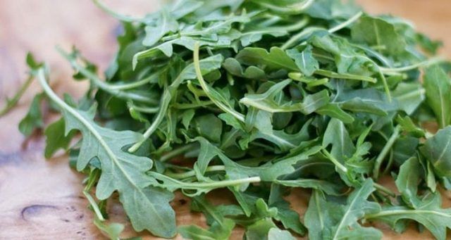 rucola