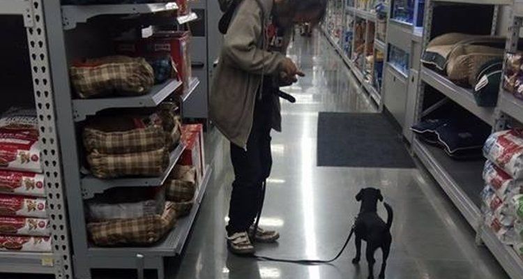 Un senzatetto e il suo cane ricevono un aiuto inaspettato