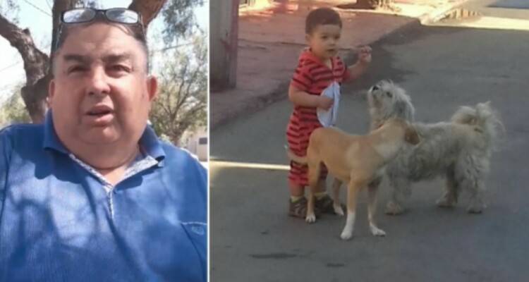 Va con i figli a sfamare i randagi e