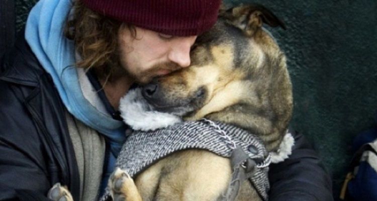 Il vostro cane vi ama?