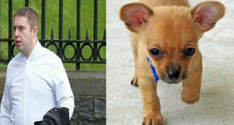 Adotta un cane, acquista tante cipolle e