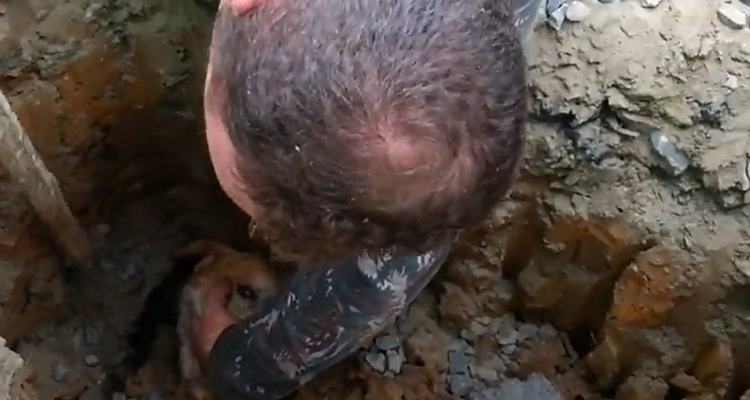 Il cane viene travolto dalle pietre ma il suo umano lo salva