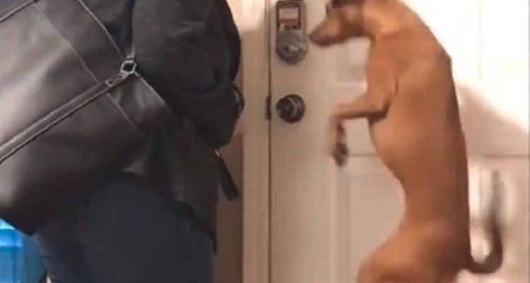Un rituale che si ripete tutti i giorni