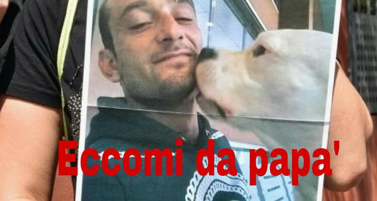Icerbeg è salva, la sua vita pagata a caro prezzo