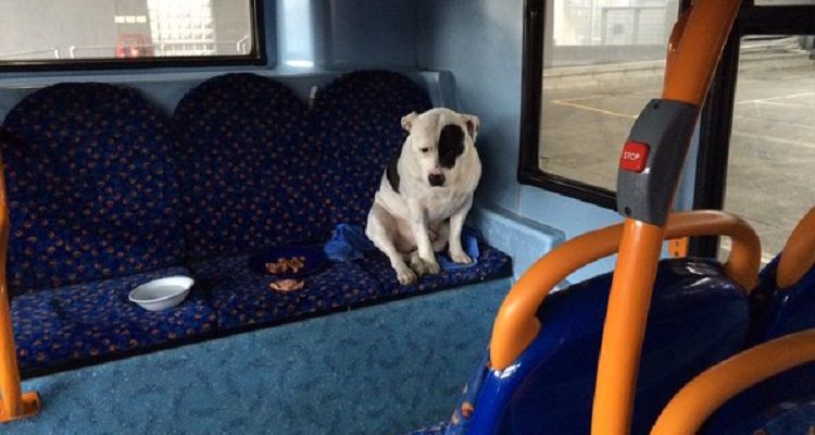 Il viaggiatore triste
