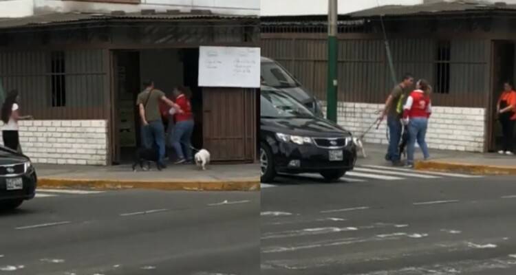 la ragazza interviene e la situazione degenera