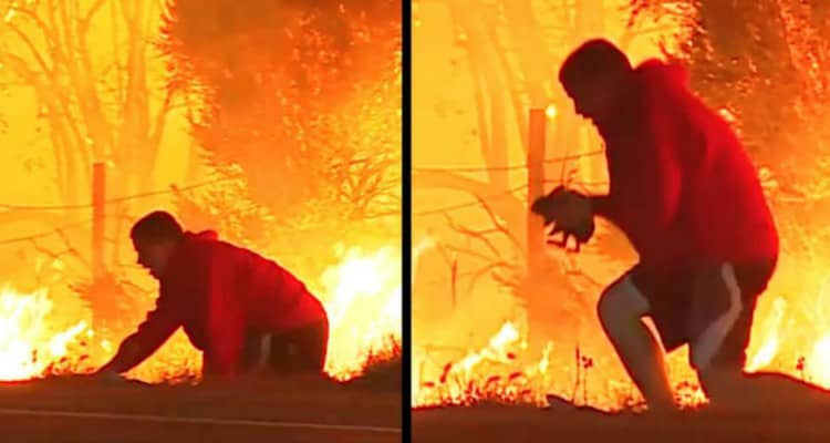 Salva una piccola vita dall’incendio