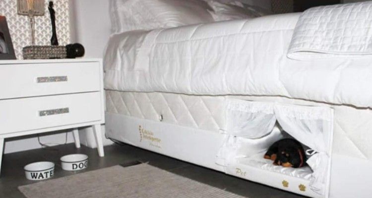Dentro la camera da letto c’è una camera più piccolina per il tuo cane