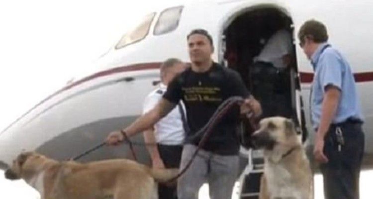 La compagnia aerea si rifiuta di portare i cani salvati da un marine in Afghanistan.