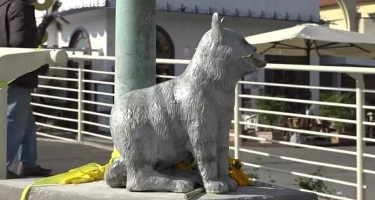 Ettore, il gatto dei pescatori di Viareggio, ha una statua
