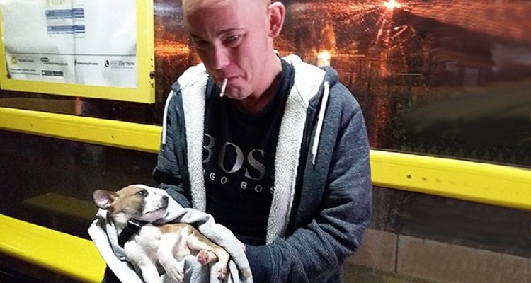 Mancano i soldi? Niente cure per il cucciolo. Ma la verità ancora deve uscire fuori